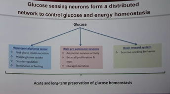 easd2017開(kāi)幕,邀您共享全球糖尿病領(lǐng)域 盛宴