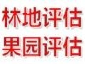 圖 專業(yè)快速評估公司 北京會計(jì)審計(jì)